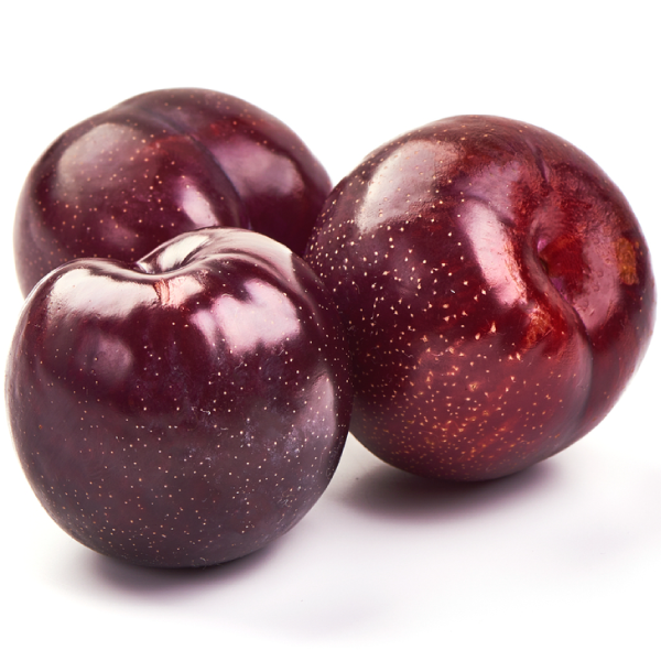 برقوق أفريكا ألبا، عالي الجودة 25 كجم