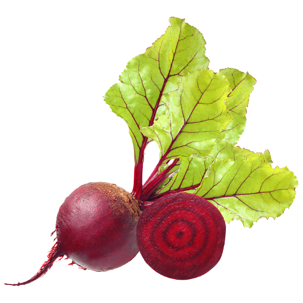 بنجر عبوة 0.25 كجم