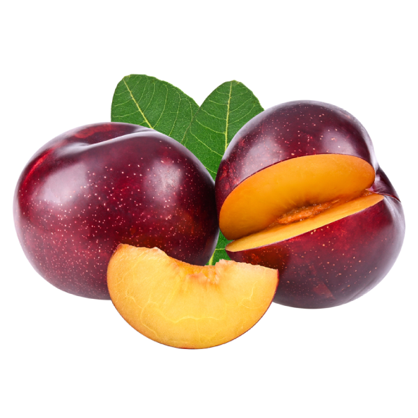 برقوق أفريكا ألبا، ممتاز 50 كجم