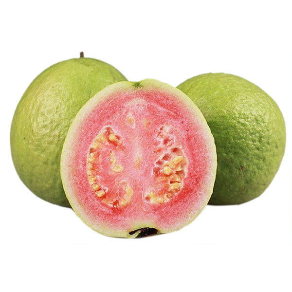 جوافة صغيرة طويلة، 0.5 كجم