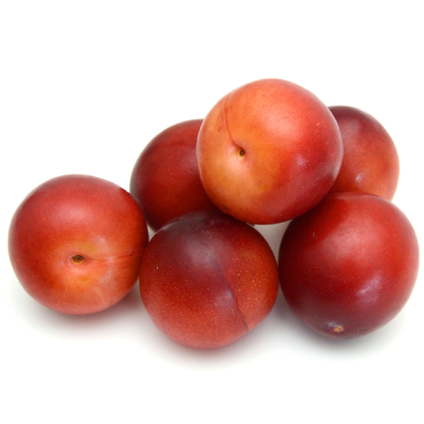 برقوق أحمر أفريقا 2 باب، حجم كبير، 40 كجم