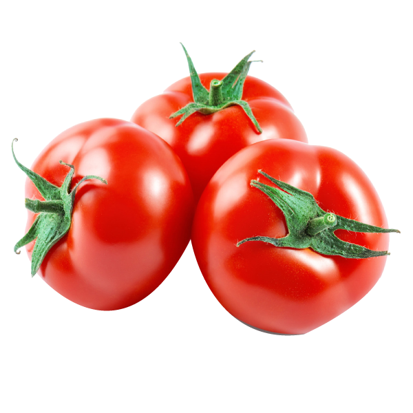 طماطم أبو صوكا الأردنية متوسطة، 30 كجم