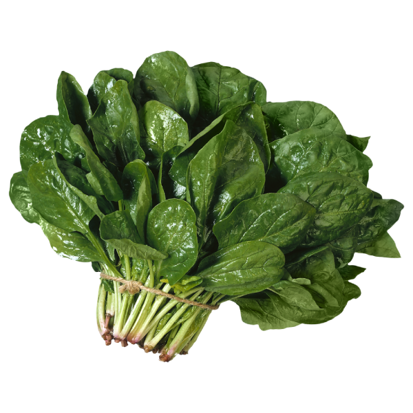 سبانخ صغيرة، زراعة مائية، عبوة 0.125 كجم