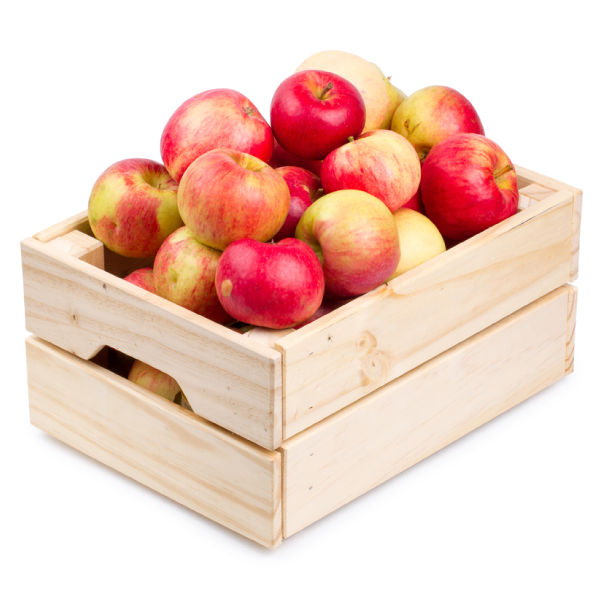 تفاح أحمر أوكراني حجم كبير، 45 كجم