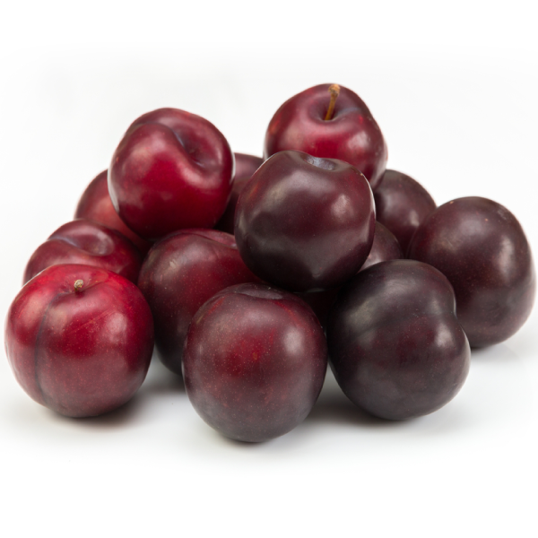 برقوق أفريكا ألبا، حجم كبير، 40 كجم