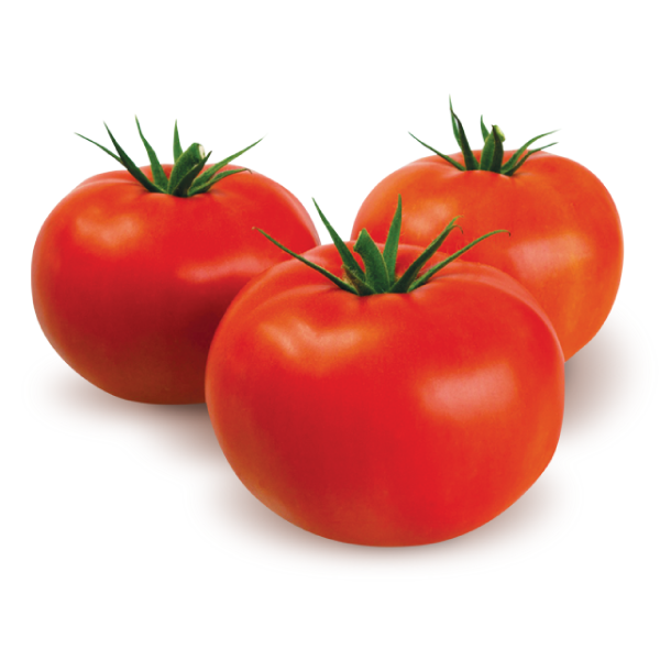 طماطم أبو صوكا جوردان بريميوم فريش، 35 كجم