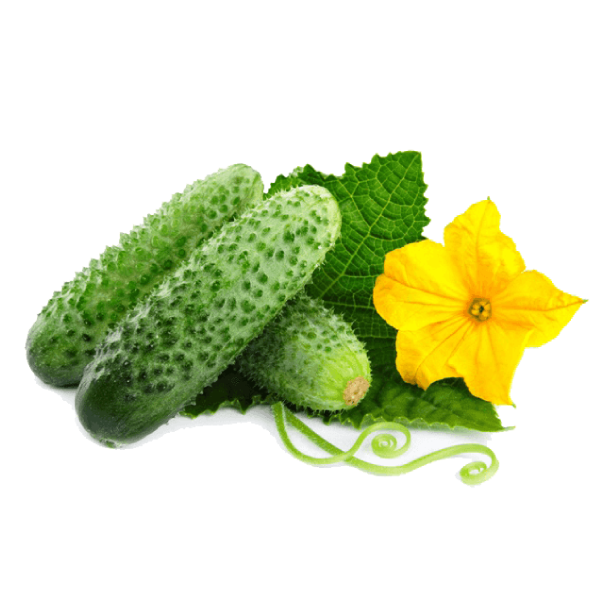 خيار صغير عبوة 1 كجم